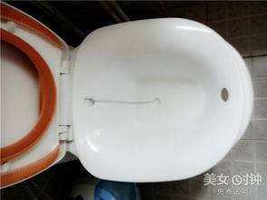 改善衛(wèi)生間的創(chuàng)意選擇 馬桶專用洗浴盆使用評測